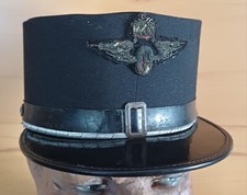 österreich schwarzblaue kappe gebraucht kaufen  Plauen