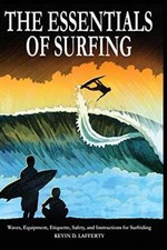 Grundlagen surfens maßgeblich gebraucht kaufen  Versand nach Germany