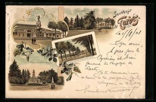 Tarbes lithograph haras d'occasion  Expédié en Belgium