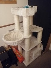 Extra large adult for sale  SLOUGH