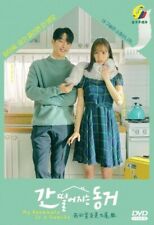 DVD My Roommate Is a Gumiho Episode 1-16END English Subtitle All Region FREESHIP comprar usado  Enviando para Brazil