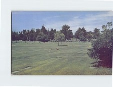 Postcard ferndale lawn for sale  Almond