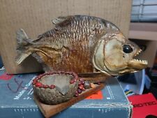 Black piranha amazonian for sale  Hialeah