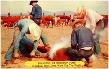 Cowboy top hands for sale  USA