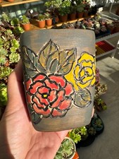 Keramik blumentopf kaktus gebraucht kaufen  Gottmadingen