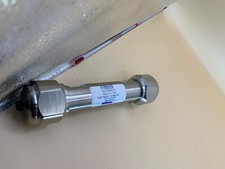 Regis whelk 150x21.1 for sale  San Diego