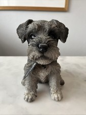 Vivid arts schnauzer for sale  LITTLEHAMPTON