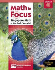 Usado, MATH IN FOCUS: SINGAPORE MATH: HOMESCHOOL PACKAGE, 2ND By Houghton Mifflin comprar usado  Enviando para Brazil
