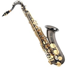 Saxofone Tenor Mendini, L+92D B Plano, Estojo, Afinador, Preto com Teclas Douradas comprar usado  Enviando para Brazil