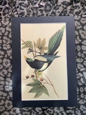 Vintage mounted print for sale  WALSALL