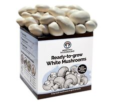 Merryhill mushrooms grow for sale  PULBOROUGH