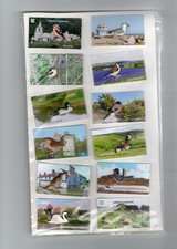 Charities bird cards for sale  MOTHERWELL