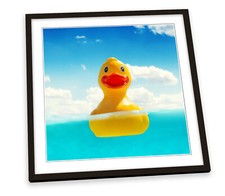 Rubber duck bathroom for sale  UK