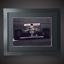 Formula one driver for sale  CHRISTCHURCH