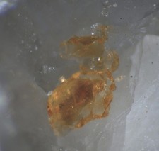 mineralien schweiz gebraucht kaufen mineralien schweiz gebraucht kaufen Oberstenfeld