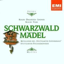 Jessel schwarzwaldmädel ... gebraucht kaufen  Berlin