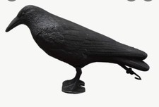 Uccello spaventapasseri usato  Salerno