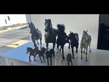 Horse toy lot for sale  Cohoes