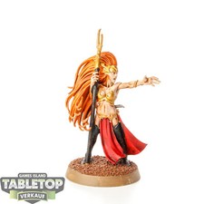 Dark elves sorceress gebraucht kaufen  Hof