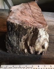Black walnut blank for sale  Head Waters