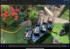 Show cages border for sale  EXMOUTH