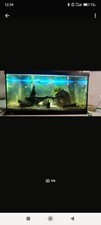 Diversa aquarium startup gebraucht kaufen  Hückeswagen