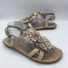 Boc born concept for sale  Hamilton
