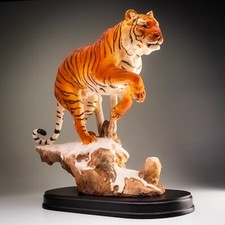 Leonardo large bengal for sale  UK