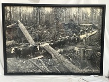 Darius kinsey original for sale  Ukiah