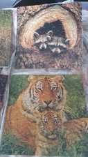 Springbok grand master for sale  SLOUGH