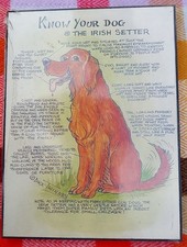 Red setter picture for sale  GRANTHAM