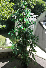 Ficus benjamini kunstpflanze gebraucht kaufen  Meinhard