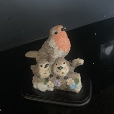 Robin chicks country for sale  NORMANTON