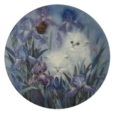 Garden discovery coa for sale  Brandon