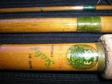 carp fishing rods for sale  Mound
