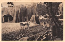 Paris parc zoologique d'occasion  Expédié en Belgium