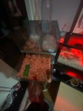 Hamster cage for sale  Denton
