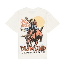 Sunshine bull ride for sale  Cypress