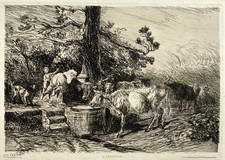 Water trough strong d'occasion  Expédié en Belgium