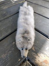 Tanned mink silver for sale  Livonia