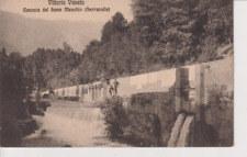 Cartolina vittorio veneto usato  Roma