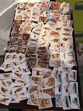Cigarette cards joblot for sale  CALLINGTON