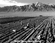 Farm workers mt. for sale  Brookings