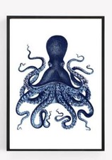Octopus nautical picture for sale  WOLVERHAMPTON