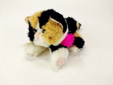 Kitty kitty kittens for sale  Sioux Falls