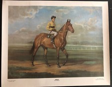 Arkle pat taaffe for sale  WORCESTER