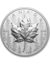 Orologio foglia acero usato  Italia