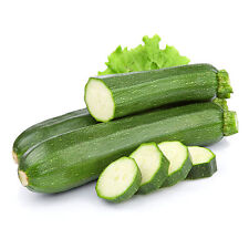 Cashflow hybrid zucchinni d'occasion  Expédié en Belgium