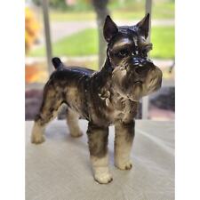 german schnauzer for sale german schnauzer for sale Cape Coral