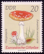 1936 giftpilze roter gebraucht kaufen  Schwalmtal